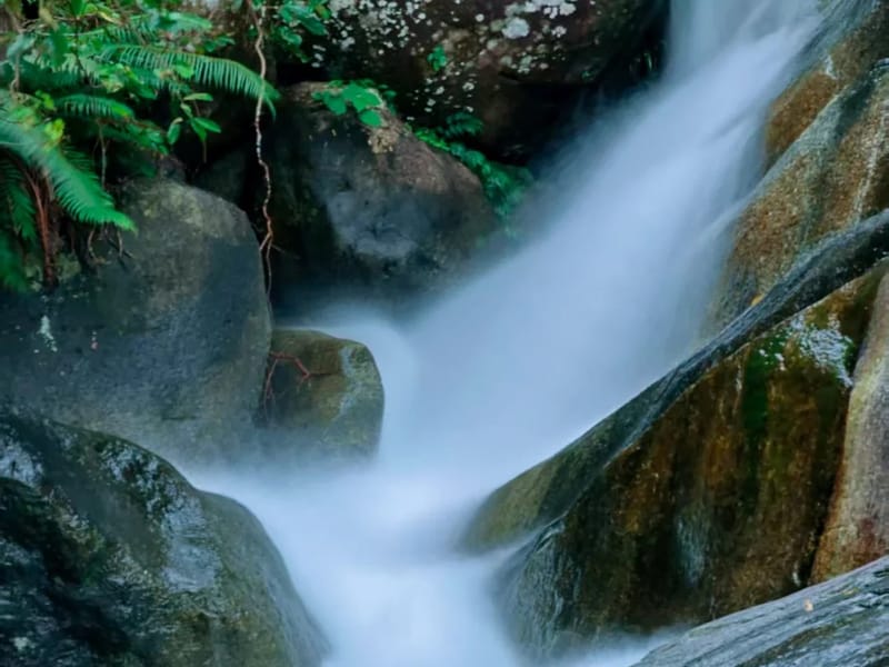 Guangzhou: Luofu Mountain Cycling & Falls Private Day Trip