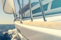Whale and Dolphin Watching Yacht Trip in Puerto Colón 1