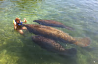 Riviera Maya-Puerto Aventuras Manatee Encounter  3