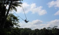 Best of Ubud: Monkey Forest - Swing - Rice Terrace - Temple 5