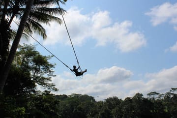 Best of Ubud : Monkey forest – Swing – Rice Terrace – Temple