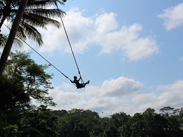 Ubud Adventure Tour: Monkey Forest, Swing, Rice Terraces, Temple