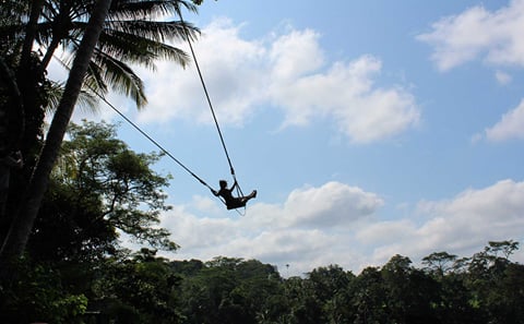 Ubud Adventure Tour: Monkey Forest, Swing, Rice Terraces, Temple
