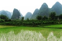 Private Day Tour in Yangshuo: Biking, Li River Boat, and Lunch 10