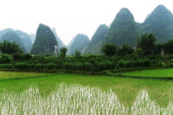Private Day Tour in Yangshuo: Biking, Li River Boat, and Lunch 10