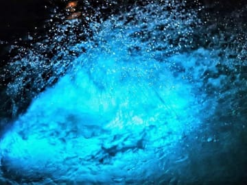 Luminous Lagoon Tour