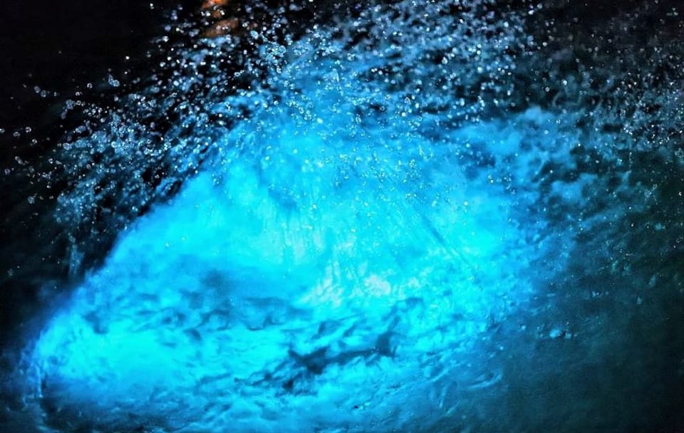 Night Tour of Rose Hall Mansion and Luminous Lagoon in Jamaica