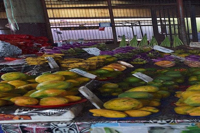 Half Day Tour from Nadi includes Local Markets, Orchid Gardens and Local Village photo 4