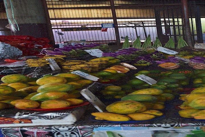 Half Day Tour from Nadi includes Local Markets, Orchid Gardens and Local Village 4