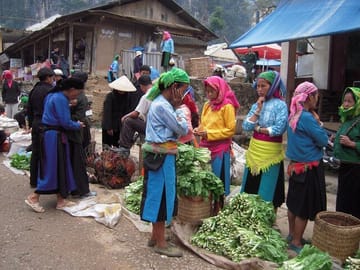 Motorcycle Tour of Ha Giang Loop, 4D/3N all-inclusive