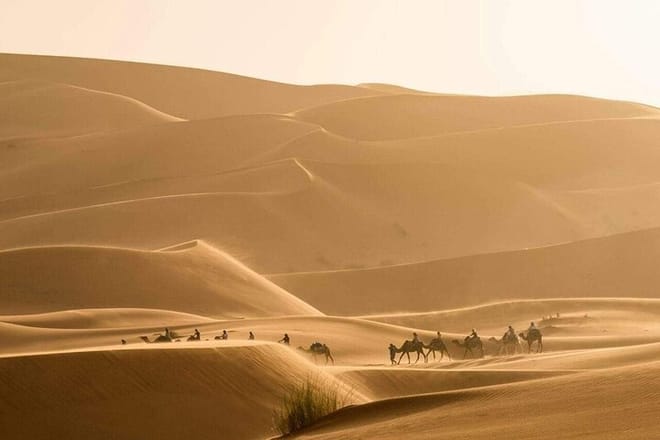 Camel Trek