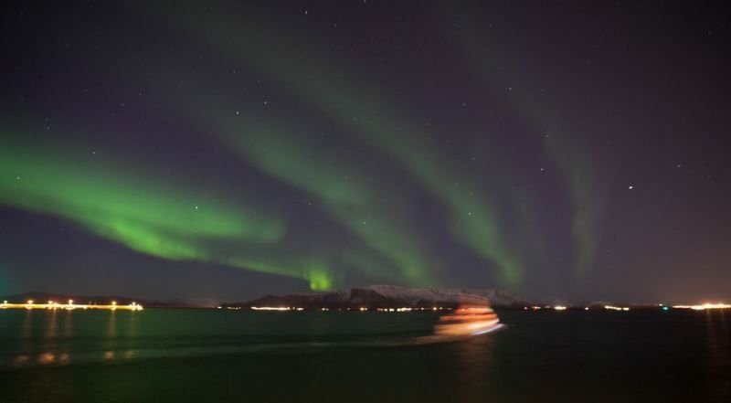 Horses & Northern Lights by boat