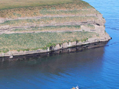 GG6 Puffins Exclusive, photo 4