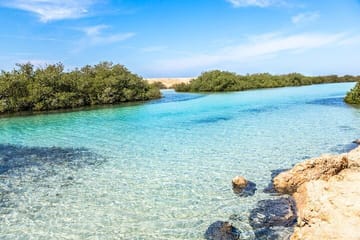 Half-Day Bus Tour of Ras Mohamed National Park in Sharm El Sheikh