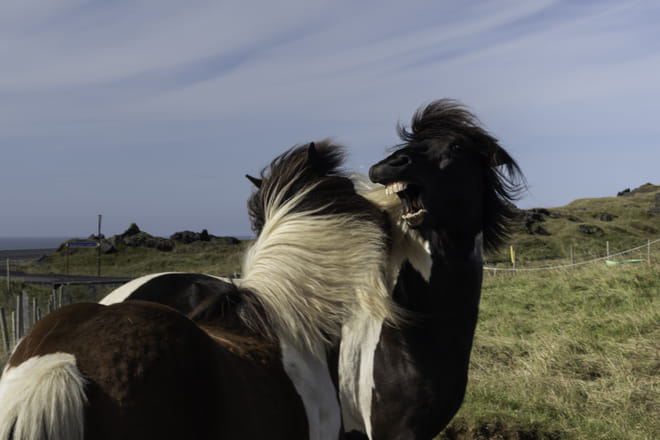 Private SuperJeep tour to the Westman Islands: History and Natural Wonders