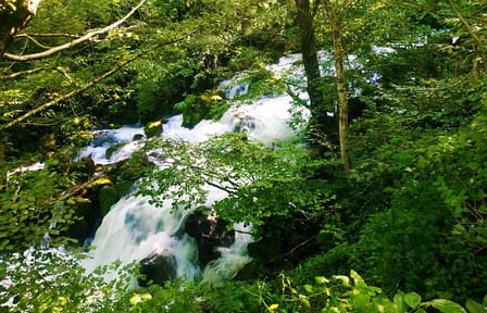 Lechkhumi Day Tour: Nature and Usakhelouri Wine Experience