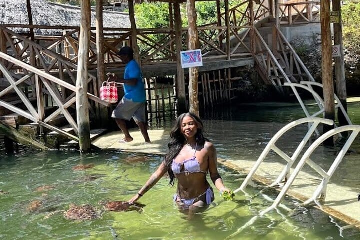 Explore Stone Town and Jozani Forest with Turtles Zanzibar