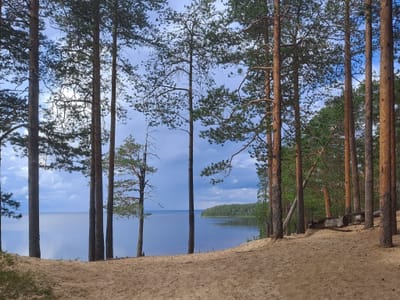 The Spirit of Finland Walking Week