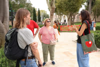 Topkapi Palace & Harem Tour (Small Group & Fast Track Entry) 2