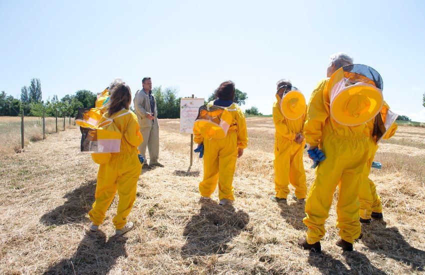 Beekeepers for a day