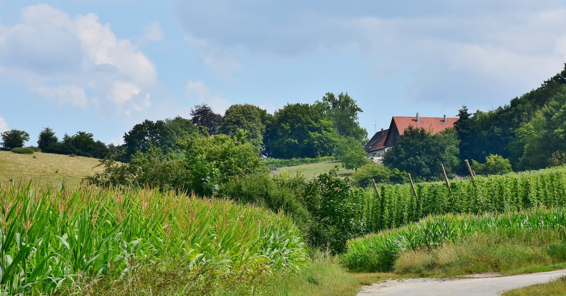 Hopfenland Hallertau