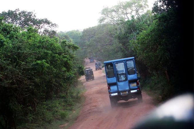 8-Day Private Tour with Train Ride, Safari & Beaches 10