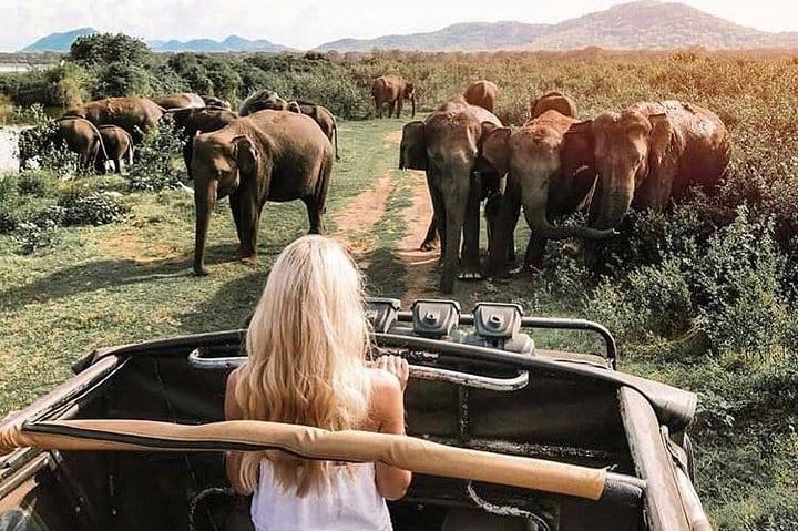 2 Days Tour to Galle & Udawalawe National Park