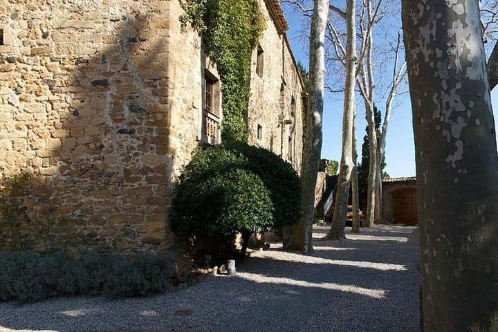 Private Dalí Museum & Gala Castle Tour Plus Local Lunch From Barcelona 9
