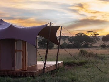 Luxury Tent Experience in Serengeti National Park, Tanzania