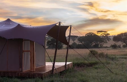 Luxury Tent Experience in Serengeti National Park, Tanzania