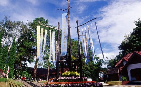 Doi Tung and Royal Villa Guided Tour in Chiang Rai