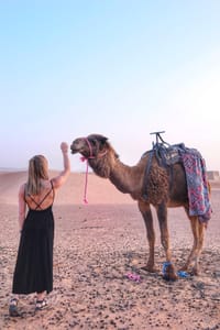 Desert experience glamping