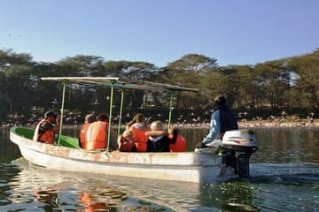 Crescent Island Wildlife Tour from Nairobi to Lake Naivasha