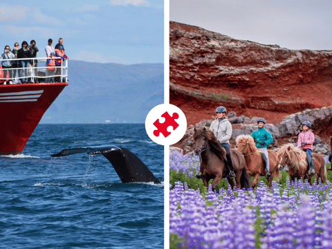 Classic Whales & Viking Horses