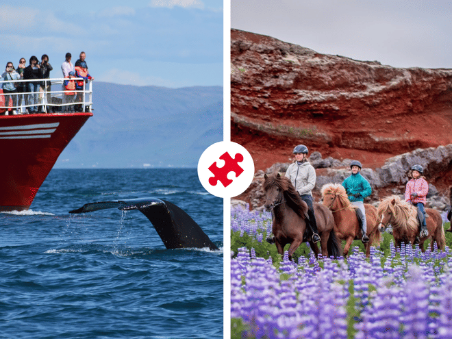 Classic Whales & Viking Horses