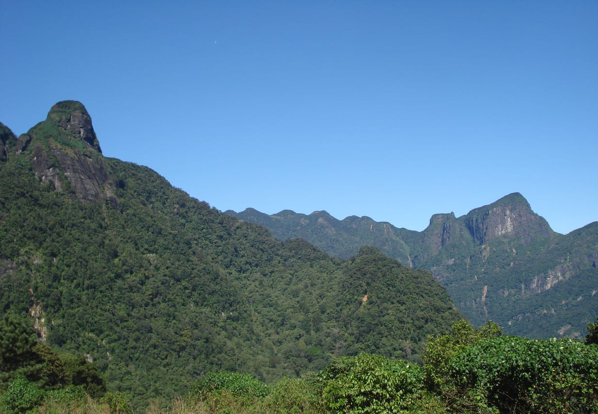 Knuckles and Riverston Trekking Experience  2