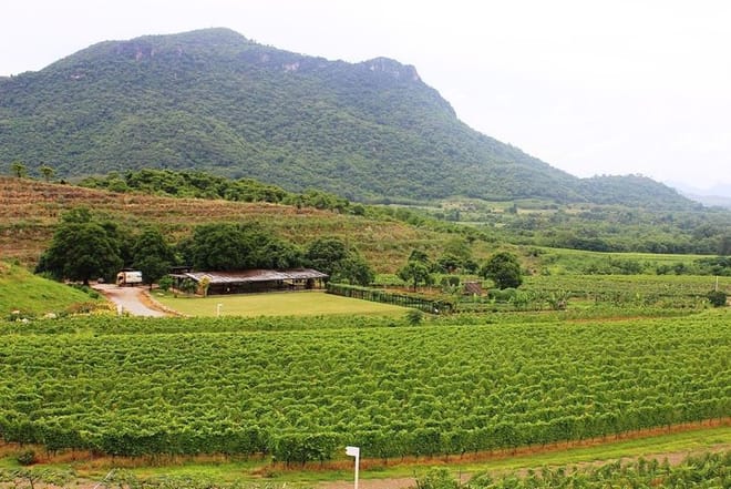 Discover Hua Hin’s Top Spots and Hills Winery Experience photo 6