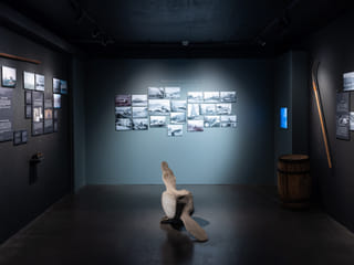 Húsavík Whale Museum Ticket, photo 6