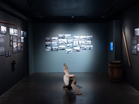 Húsavík Whale Museum Ticket, photo 6