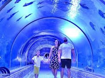 Grand Aquarium in hurghada