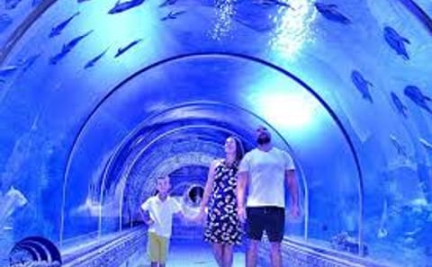 Grand Aquarium in hurghada
