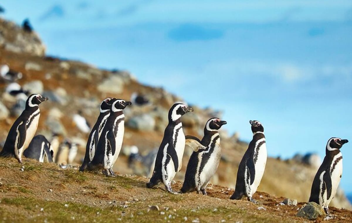 13-Day Tour Chile from North to South