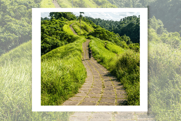 Explore Ubud Palace and Tegalalang Rice Terraces in Bali