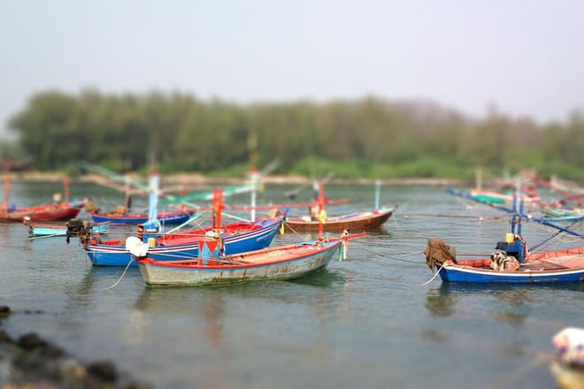 River Trip on Pranburi River photo 4