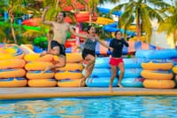 Encuentro con Delfines + Parque Acuático en Puerto Vallarta 3
