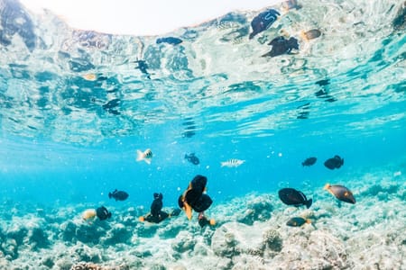 Orange Bay Hurghada Snorkeling & Beach Adventure Tour