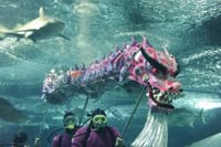 PATTAYA Join Tour Under Water World 7