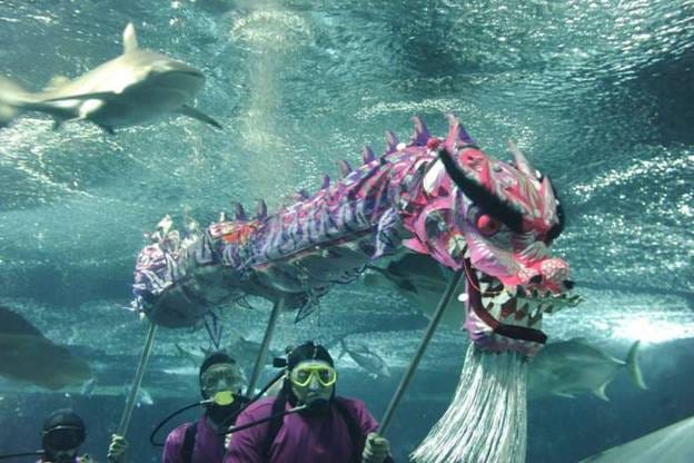 PATTAYA Join Tour Under Water World 7