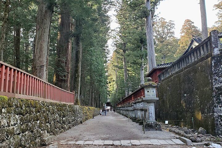 Full Day Private Nature Tour in Nikko Japan with English Guide