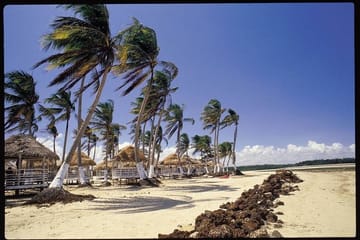 Explore Marajó Island: 2-Day Cultural and Nature Tour